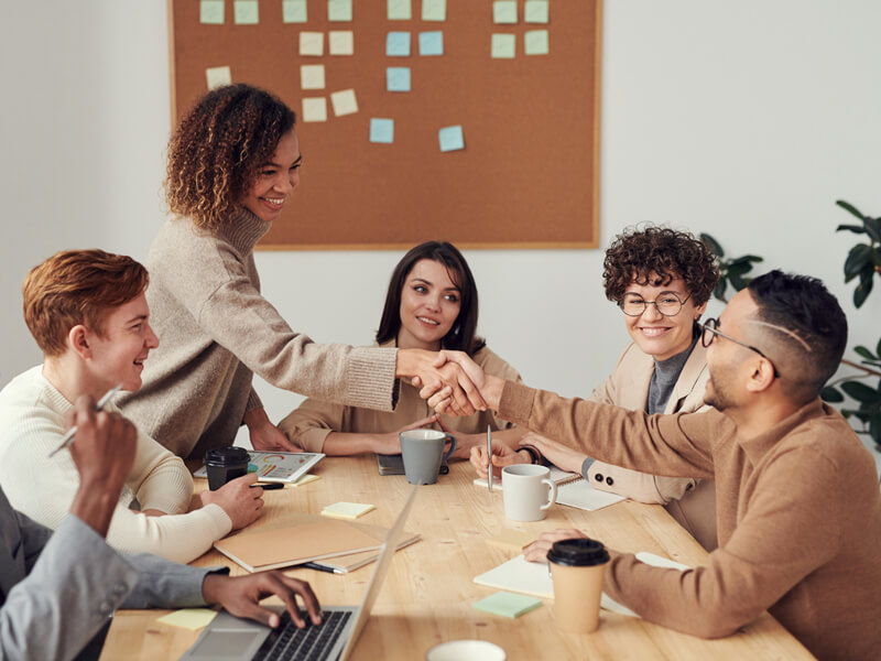 Management Team
