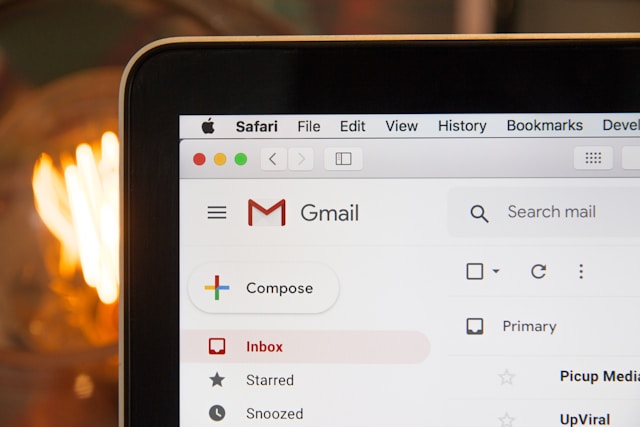 Email newsletter preview
